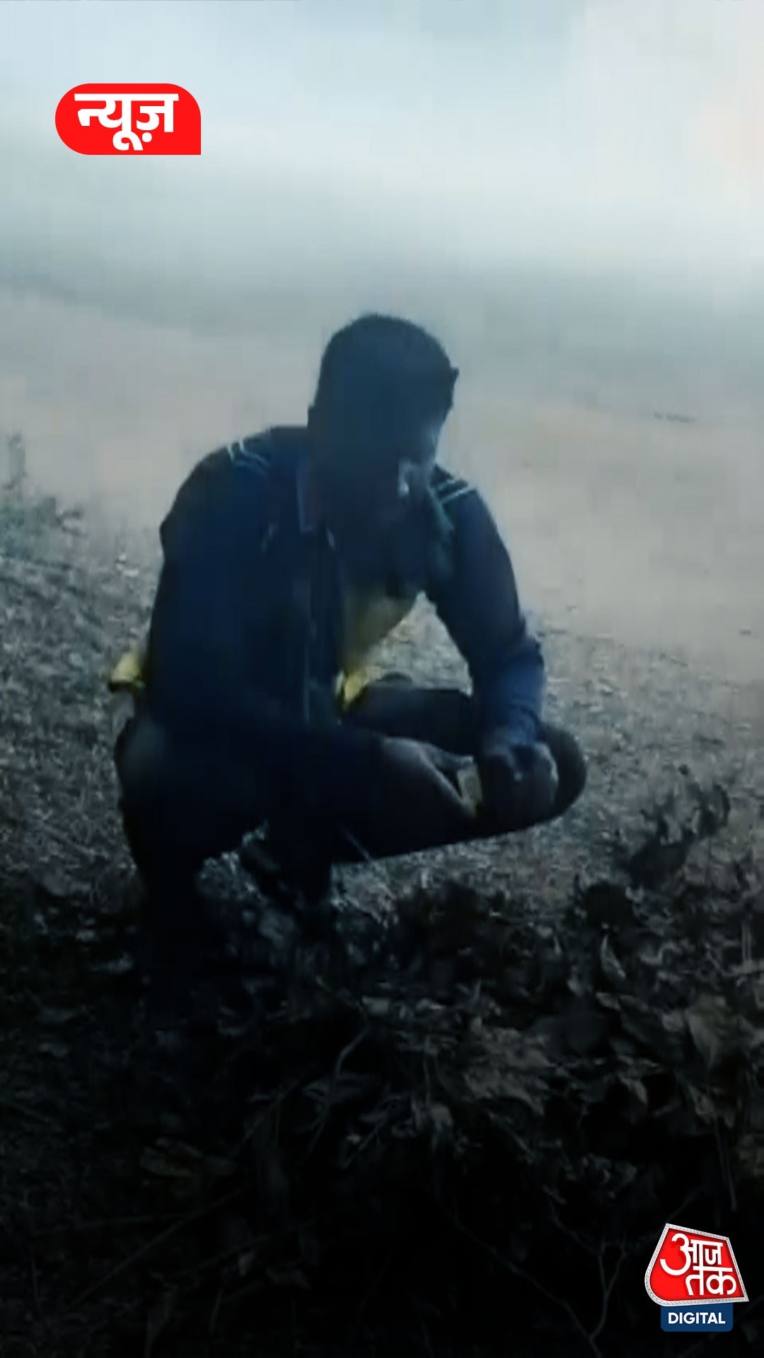 bee attack on man chandrapur dead dj cricket match