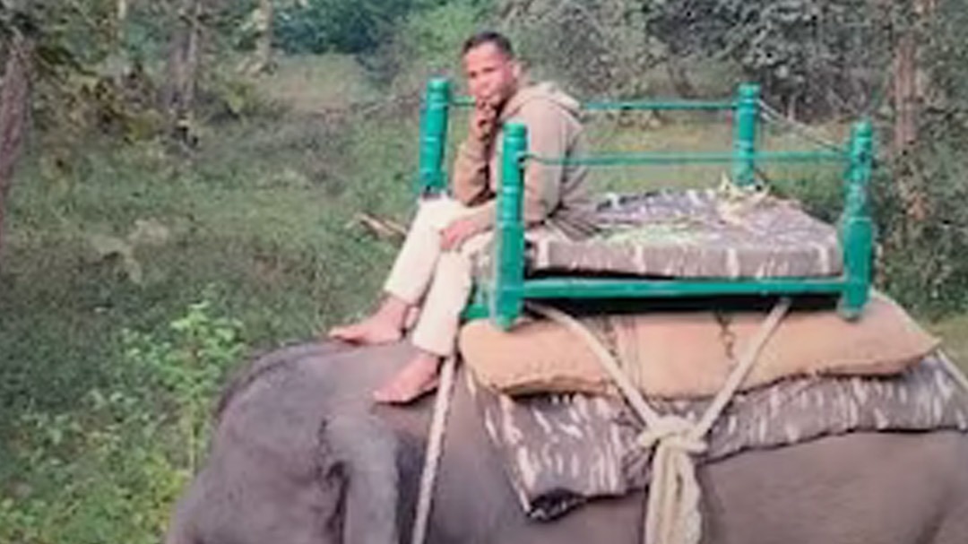 बाघ के हमले से युवक की मौत