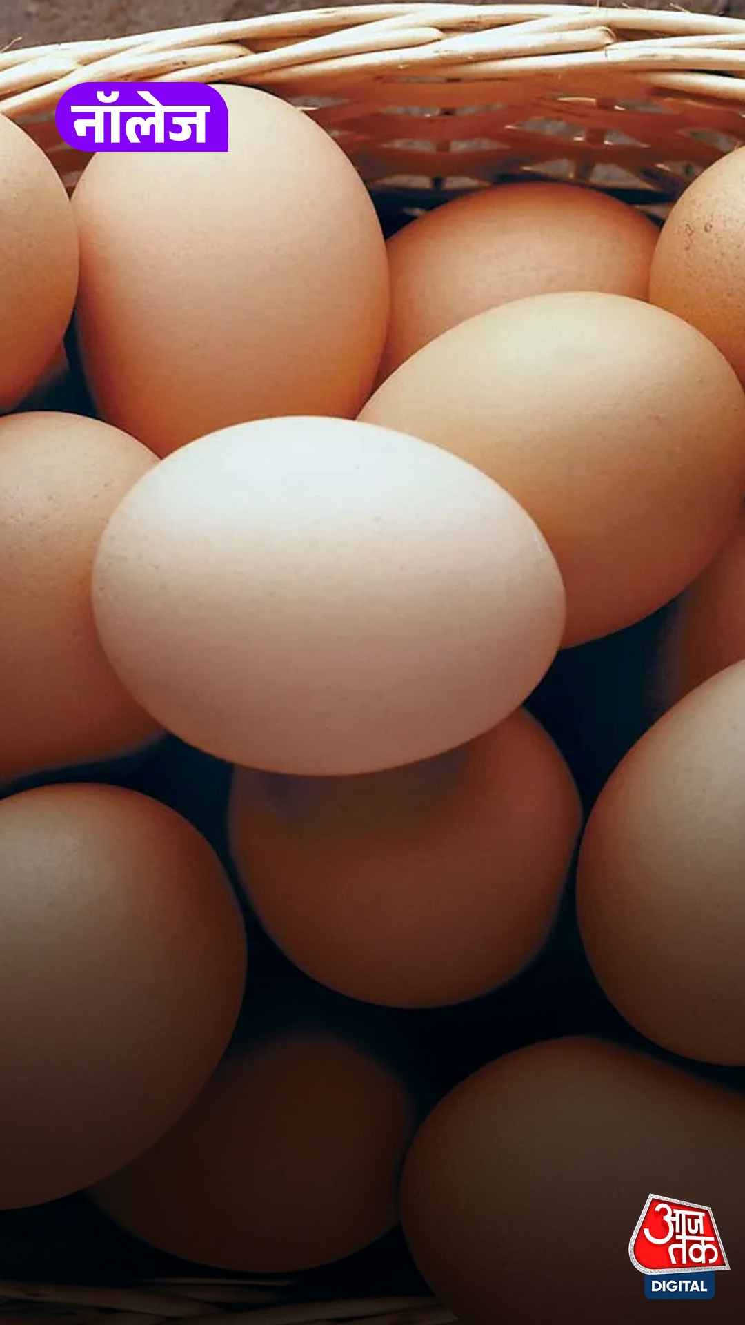 Egg Consumption Ranking