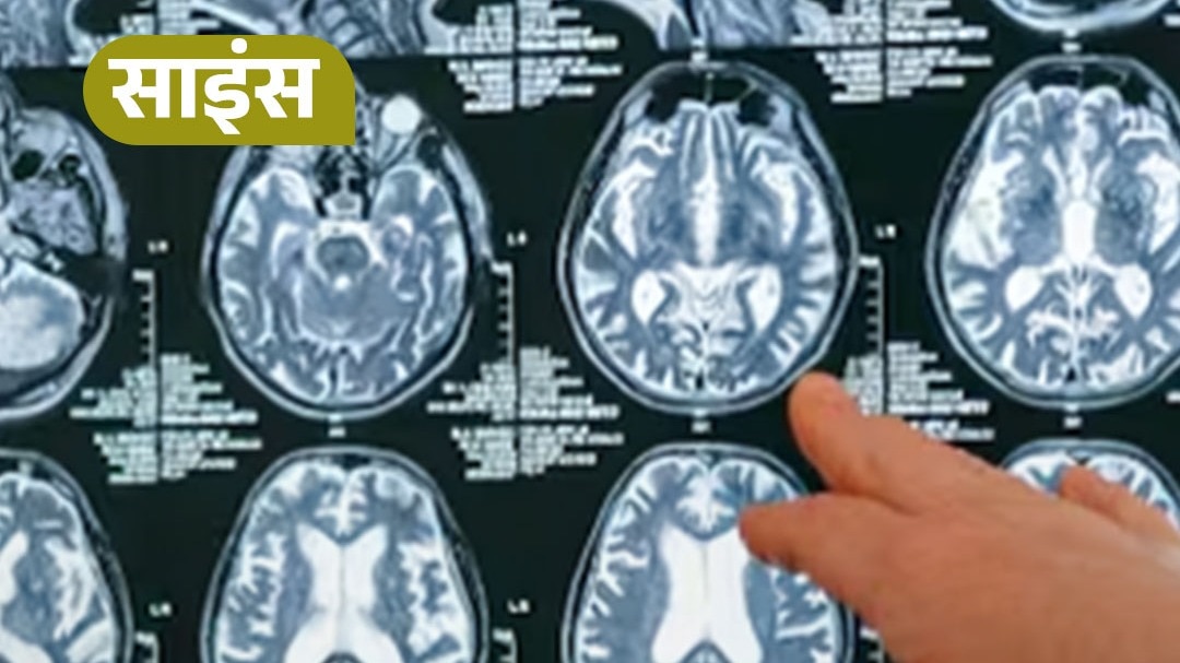 कैसे बढ़ेगी मेमोरी? वैज्ञानिकों ने बताया