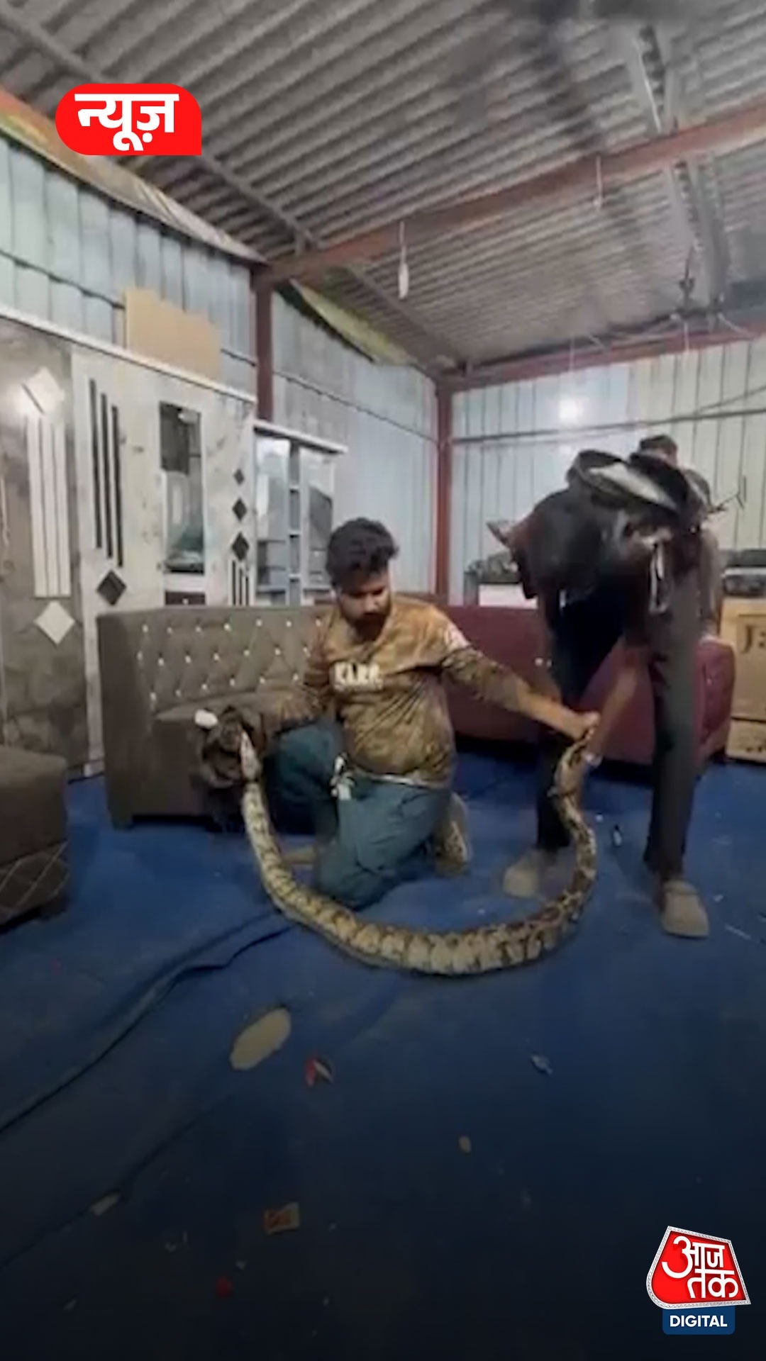 python rescued in Kalyan Maharashtra 