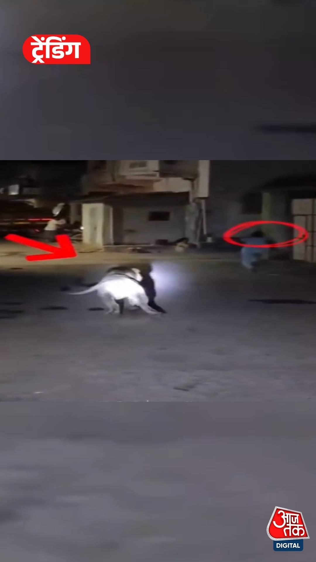 Viral Video: बच्चे के पीछे दौड़ा बब्बर शेर, पूरे इलाके में मच गई अफरा-तफरी