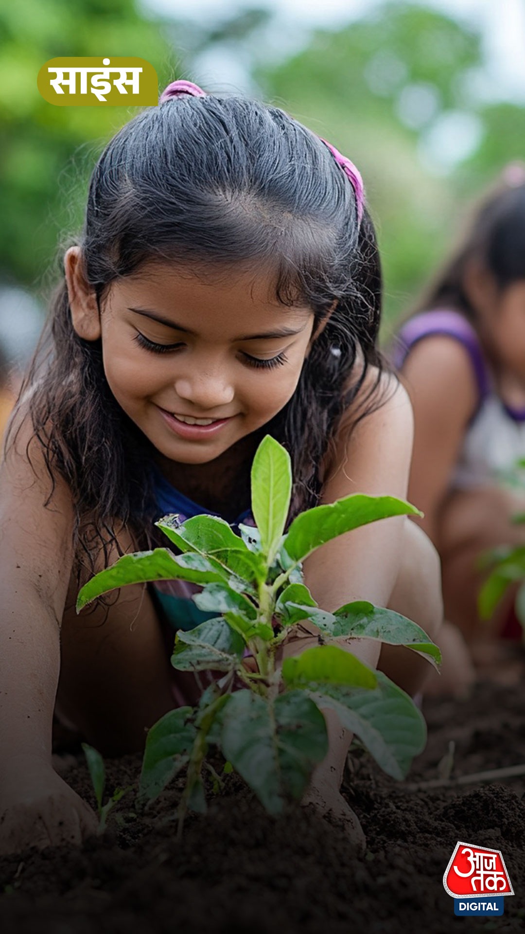 तेज़ गर्मी का सच: क्या पेड़ों की कमी ही वजह है? जानें क्या कहती है रिपोर्ट