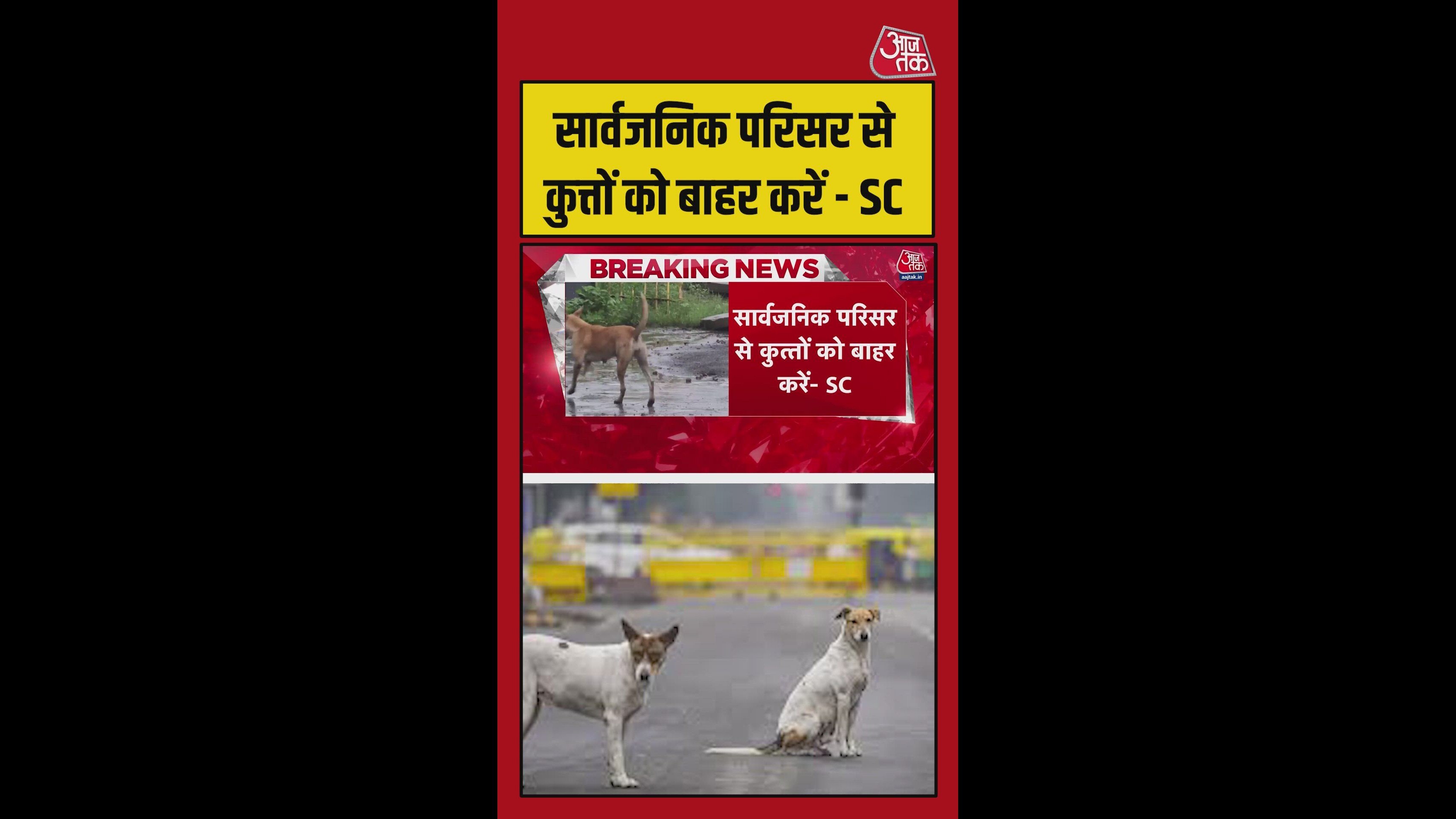 supreme court orders removal of dogs from public premises