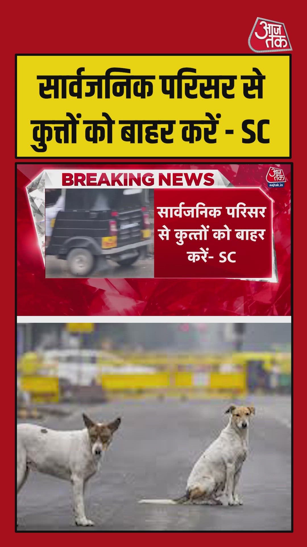 supreme court orders removal of dogs from public premises