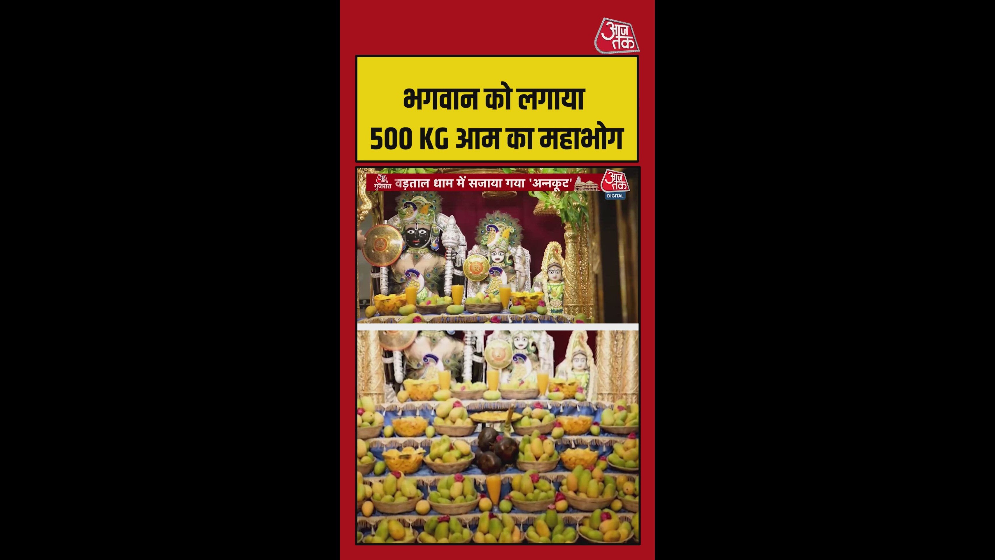 भगवान को लगाया गया 500 KG आम का महाभोग, Video