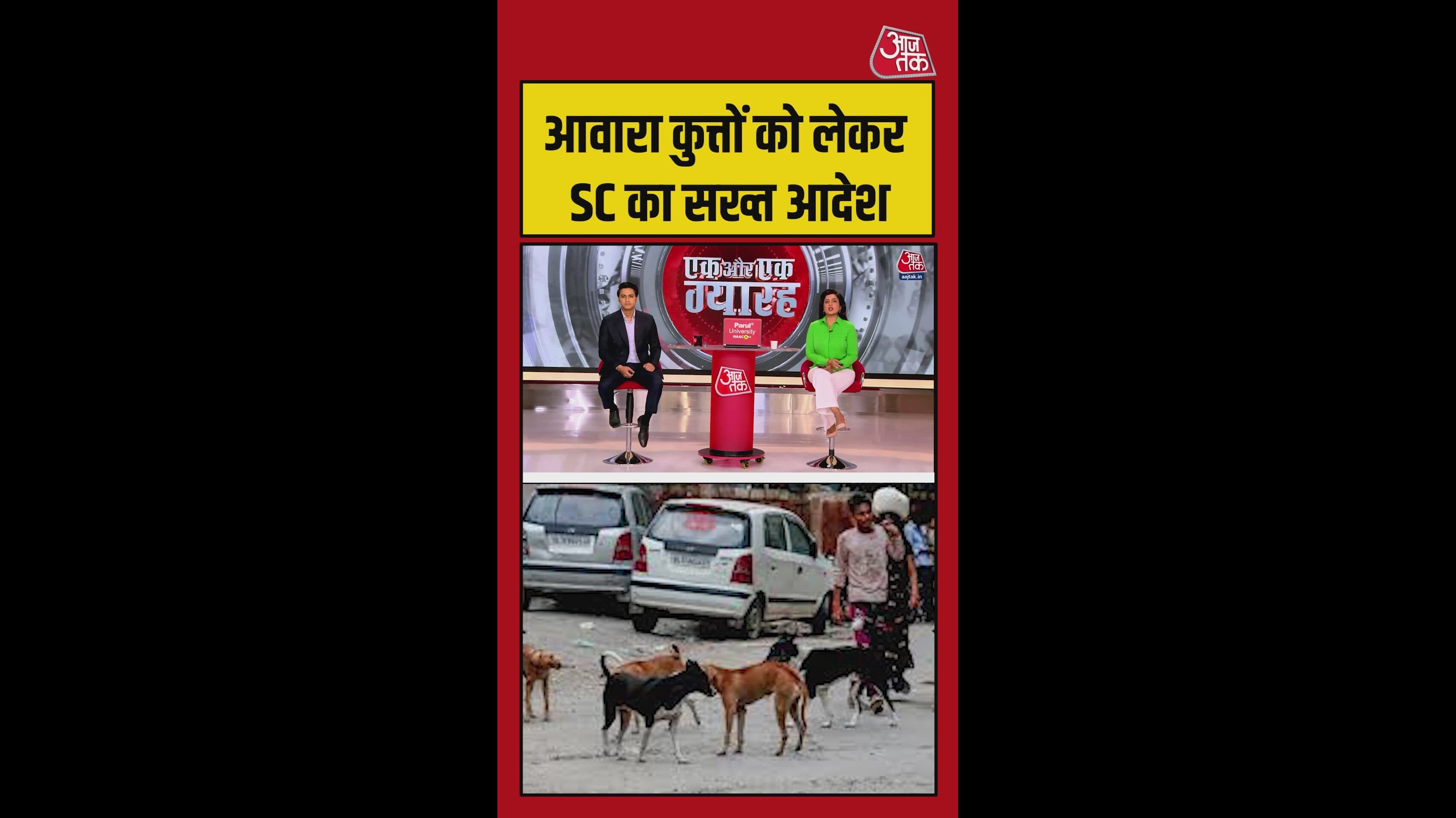 Supreme Court delivers major ruling on stray dogs