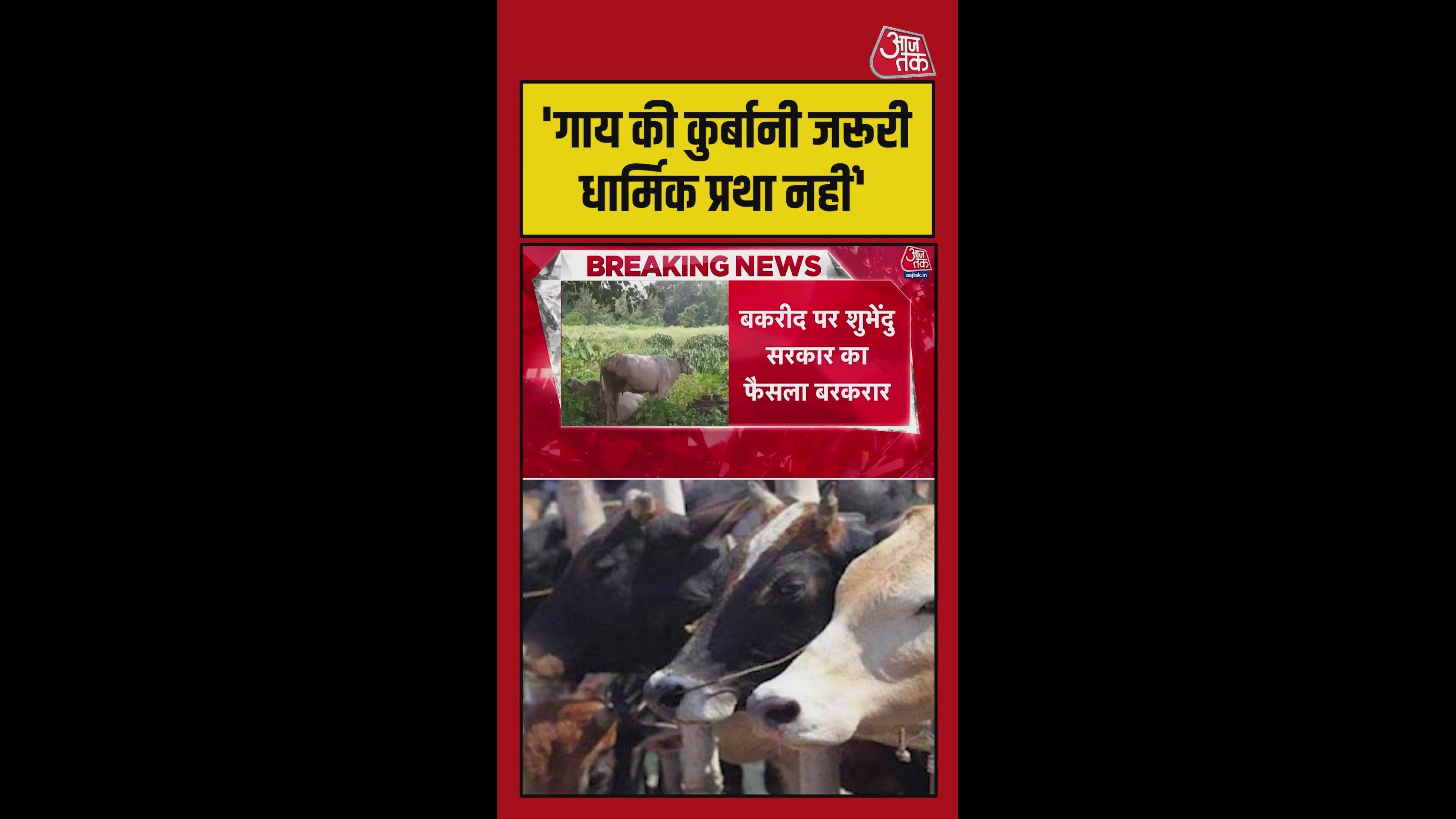 'गाय की कुर्बानी जरूरी धार्मिक प्रथा नहीं', कोर्ट ने की अर्जी खारिज