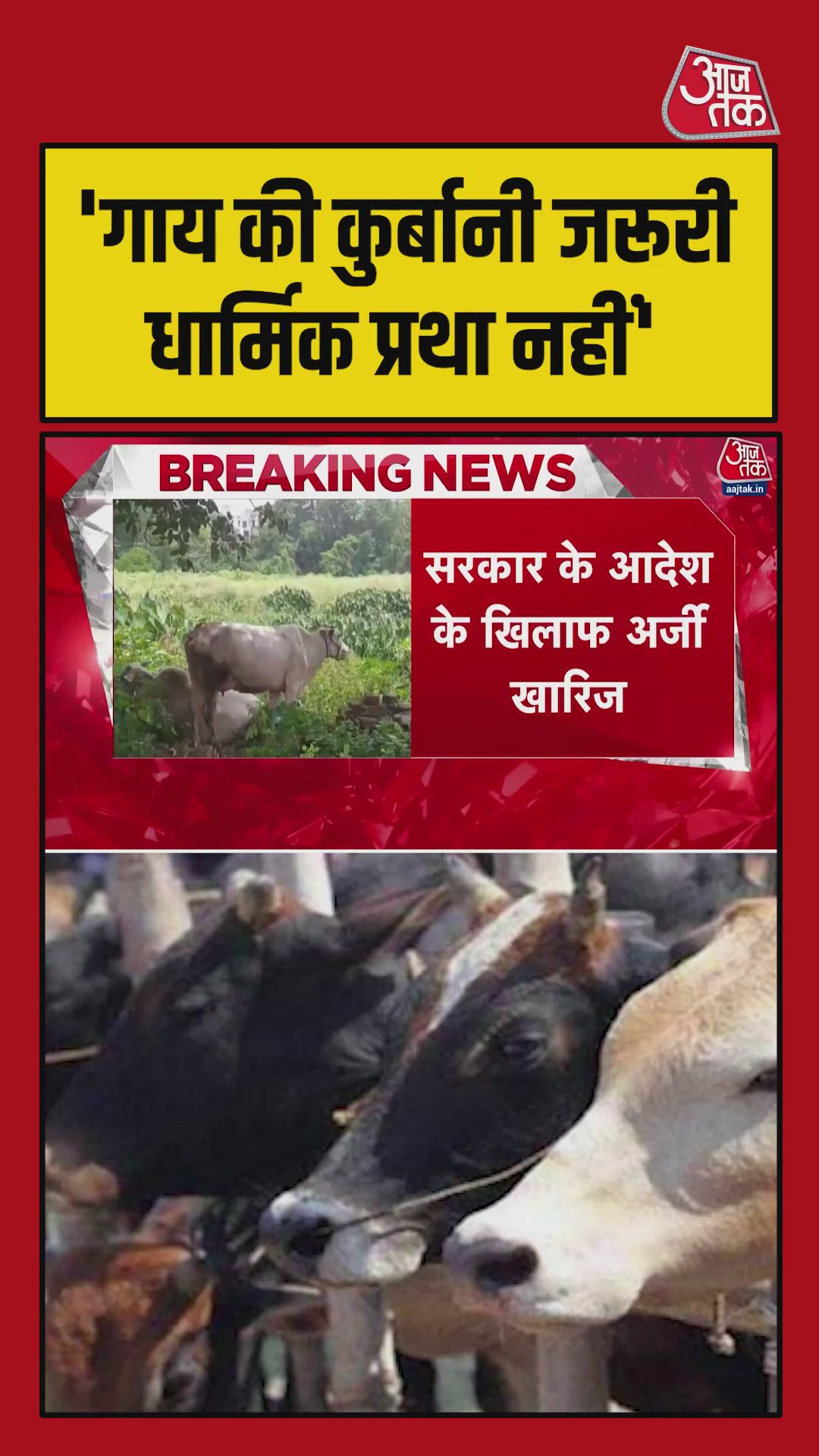 court says cow sacrifice is not part of eid ul adha festival