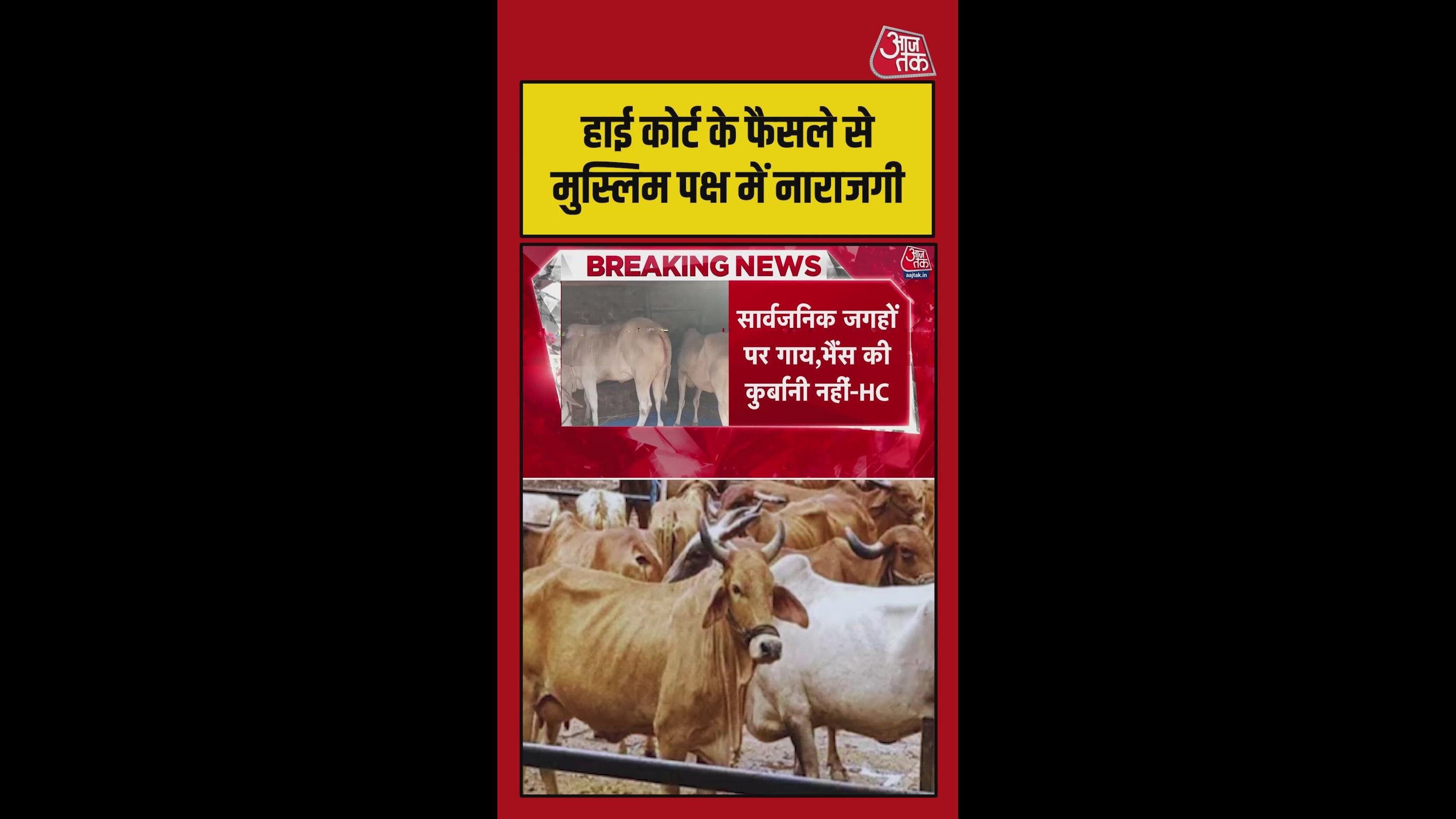 कुर्बानी पर कोलकाता HC का फैसला, मुस्लिम समाज में नाराजगी