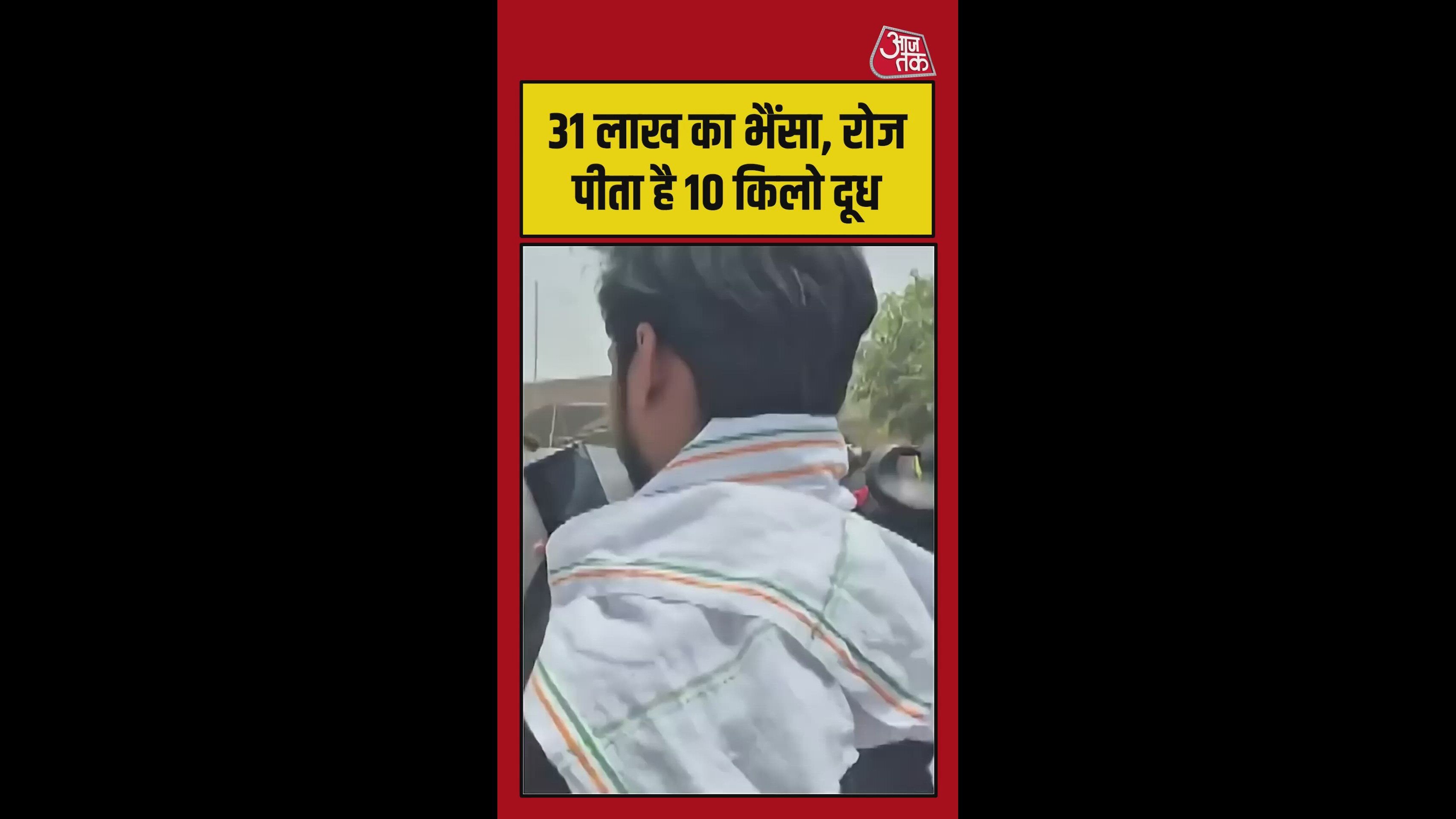 VIP से कम नहीं ये भैंसा, देखने दूर-दूर से आ रहे लोग