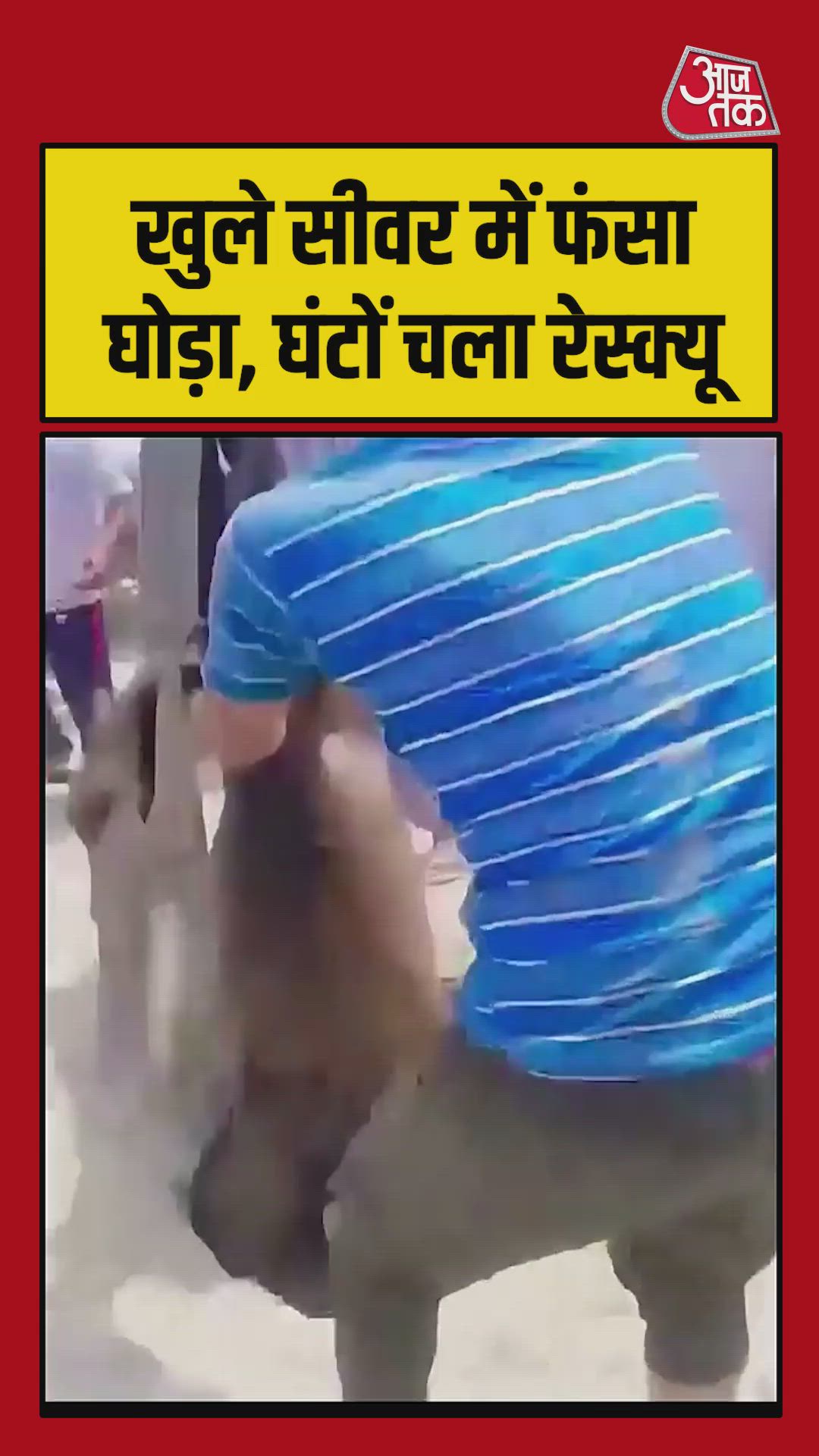 वैसे तो मैं हाँ।