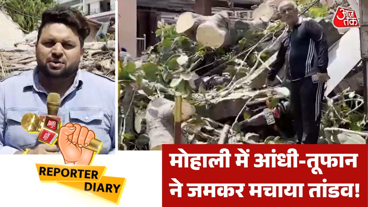 बिजली के खंभे-पेड़... सब उखड़े, देखें मोहाली में तेज आंधी-बारिश का कहर