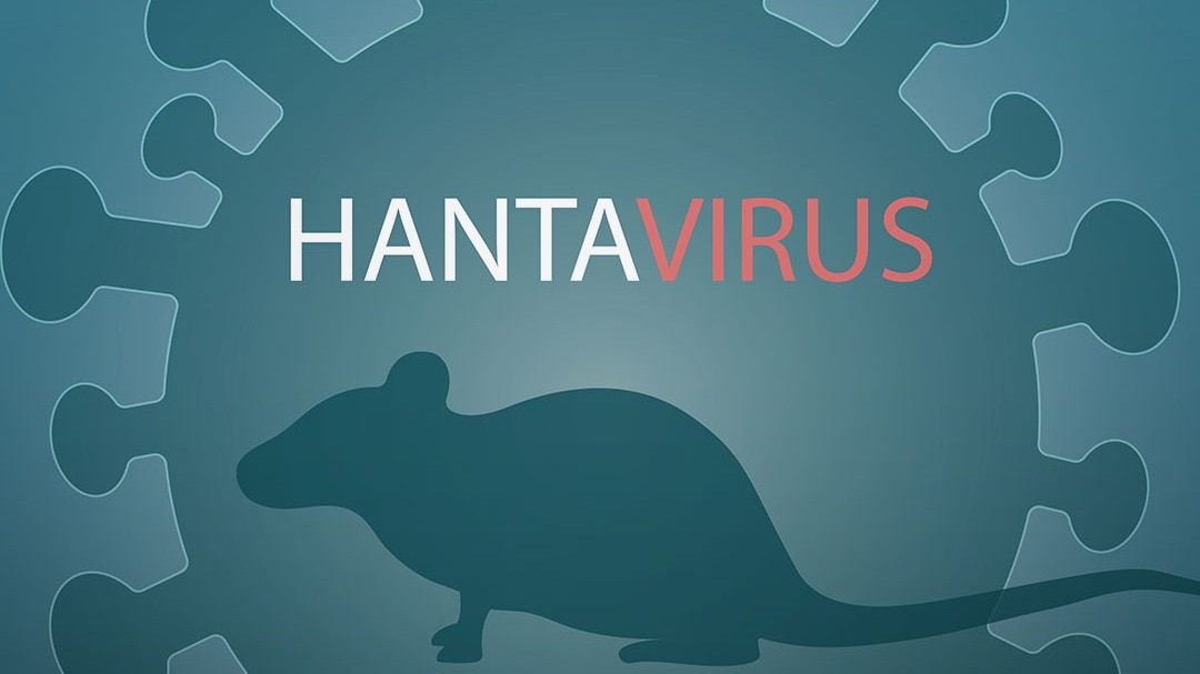 hantavirus cruise ship outbreak 