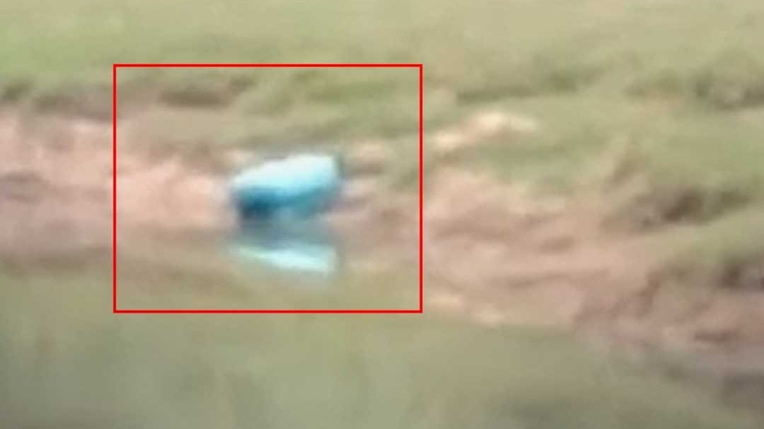 Suitcase dead body