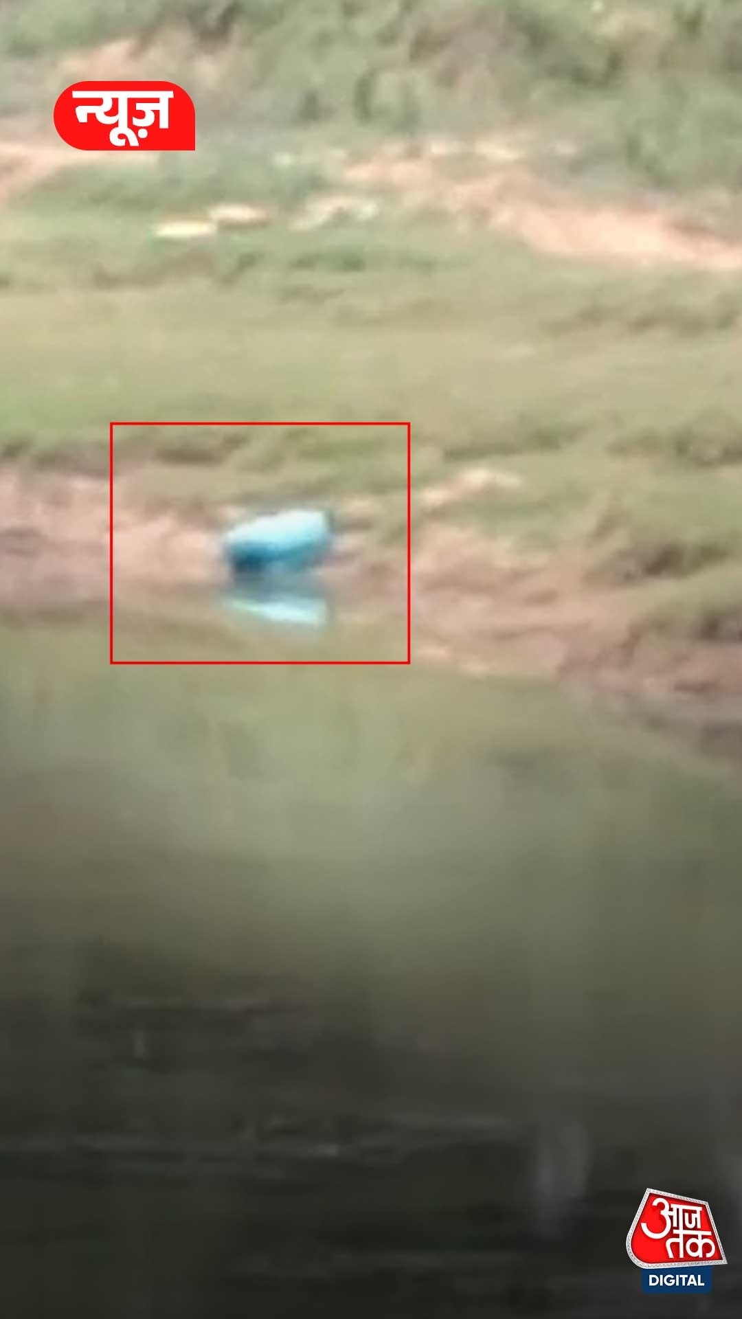Suitcase dead body