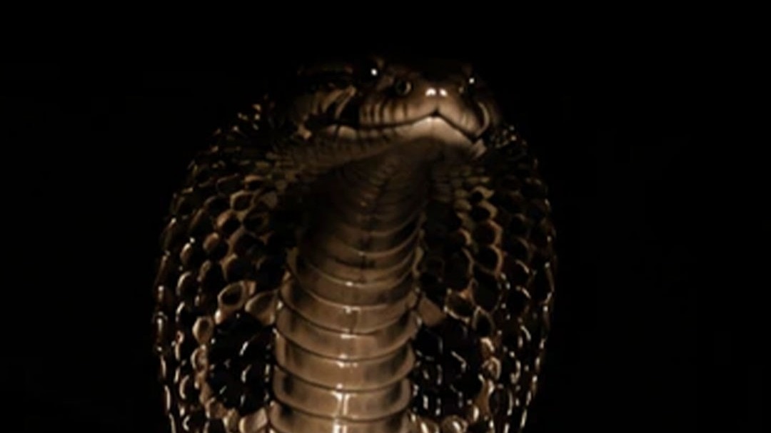 dream secrets meaning of seeing snake in dreams