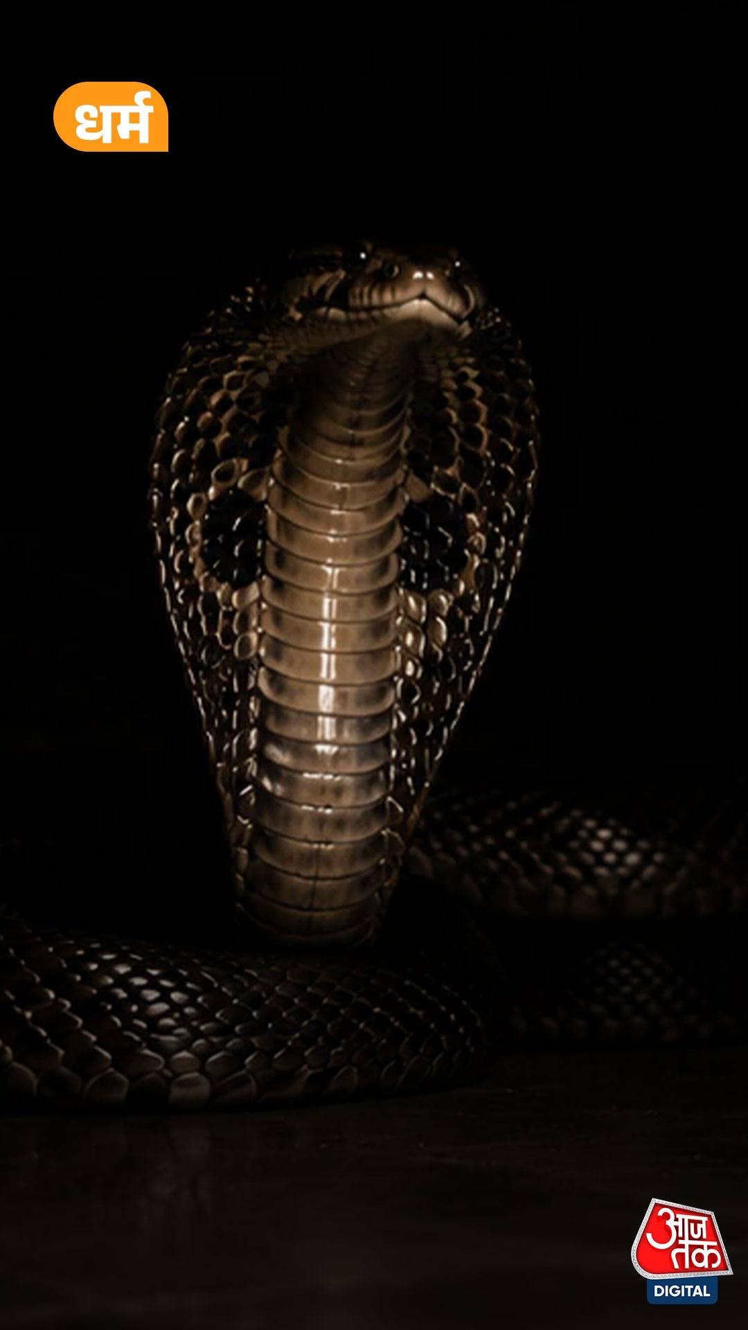 dream secrets meaning of seeing snake in dreams