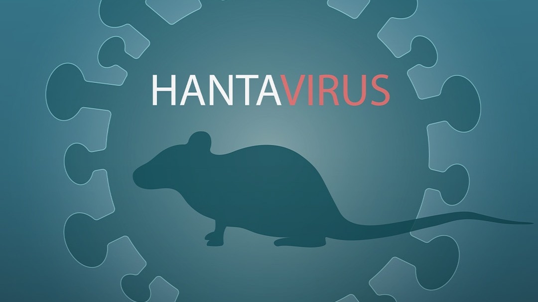 Hantavirus कितना खतरनाक? जानें
