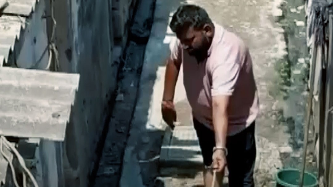 Surat Snake bites 