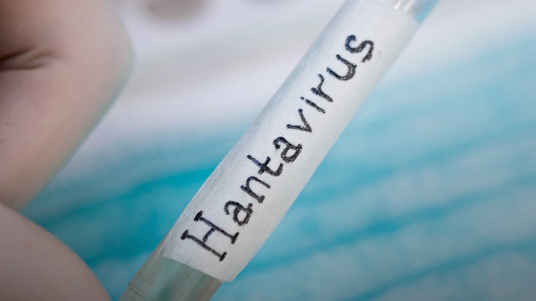 Hantavirus Alert