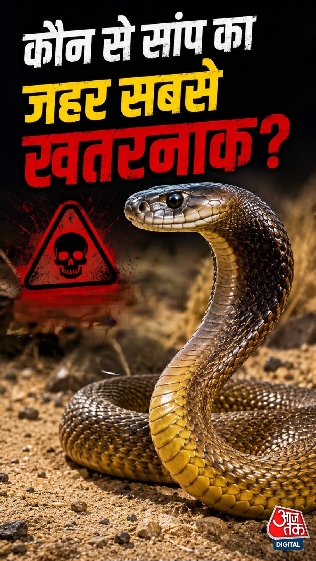 Inland Taipan, World Most Venomous Snake