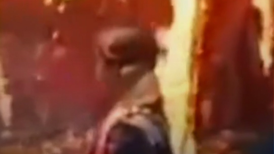 वट सावित्री पूजा के दौरान बरगद में लगी आग, Video
