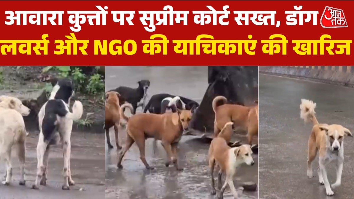 SC decision on stray dogs cancels petition of NGOs and dog lovers
