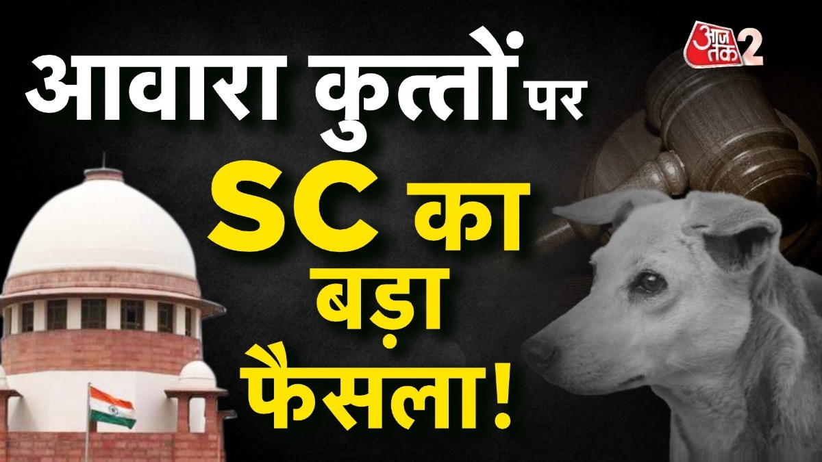 sc on stray Dogs