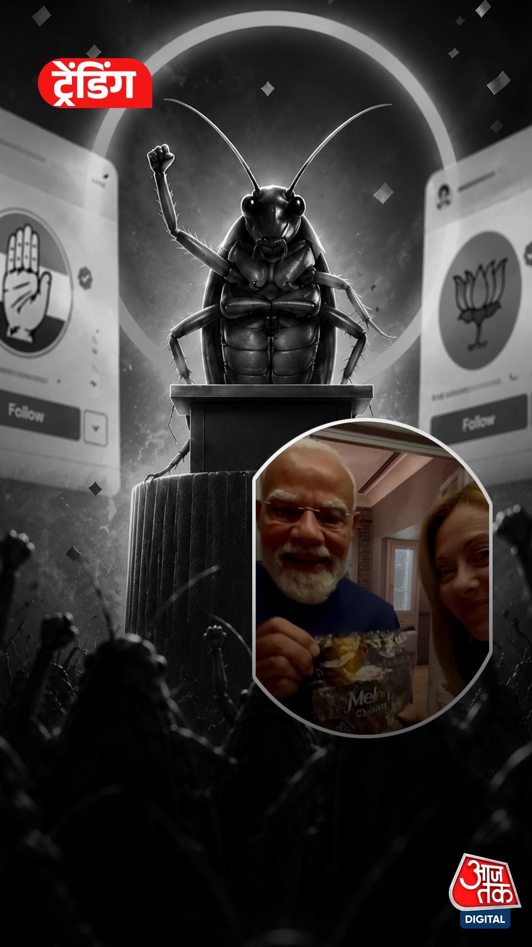 Cockroach Janata Party, Melody Toffee