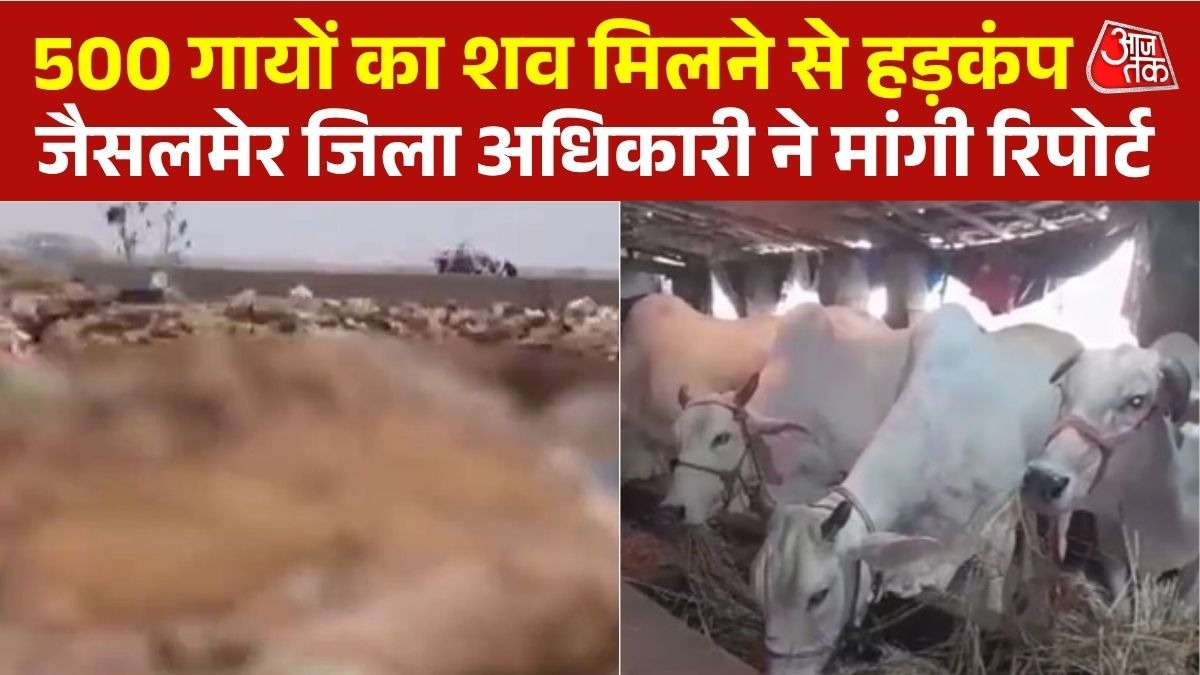 Jaisalmer News