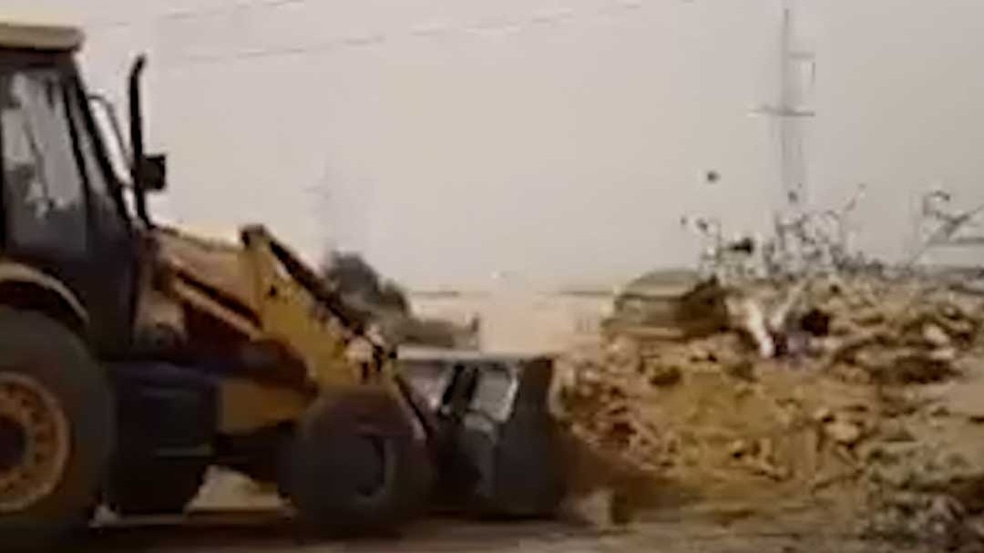 dead cow rotten bodies dumping yard jaisalmer