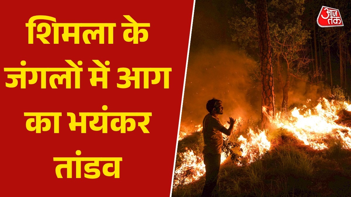 Himachal Shimla forest fires
