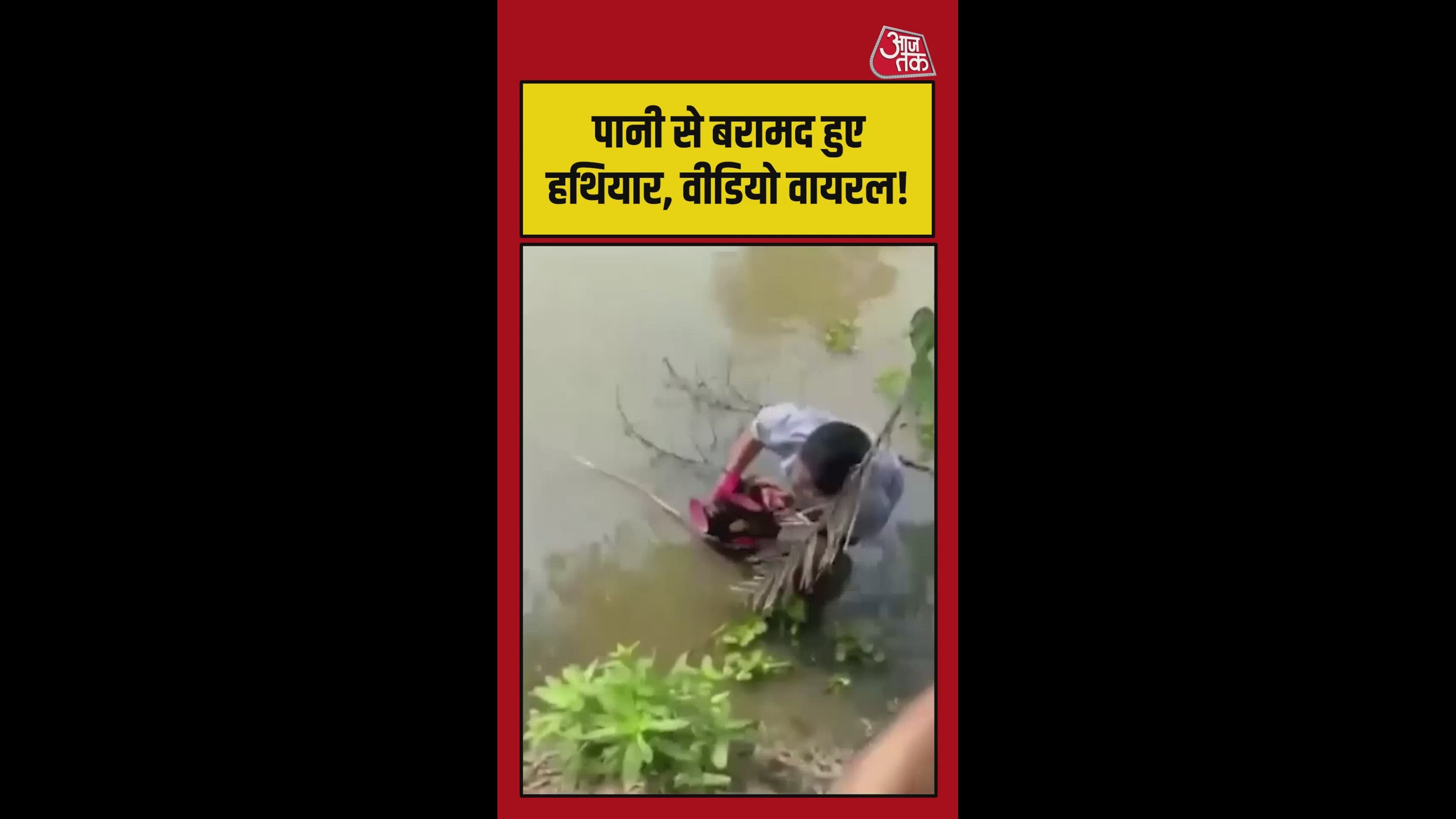 बंगाल में तालाब ने उगले हथियार, हैरान कर देगा वीडियो