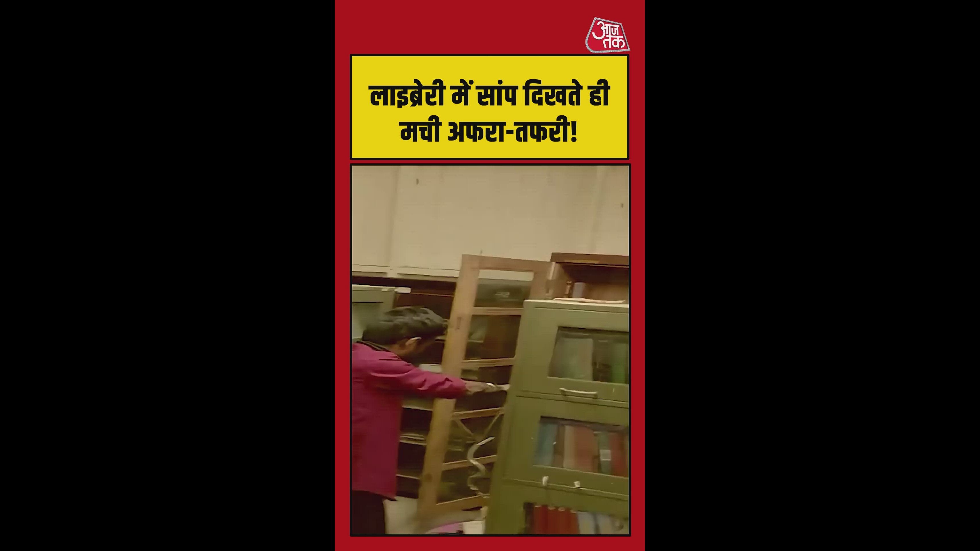 लाइब्रेरी में किताबों के बीच मिला सांप, देखिए वीडियो