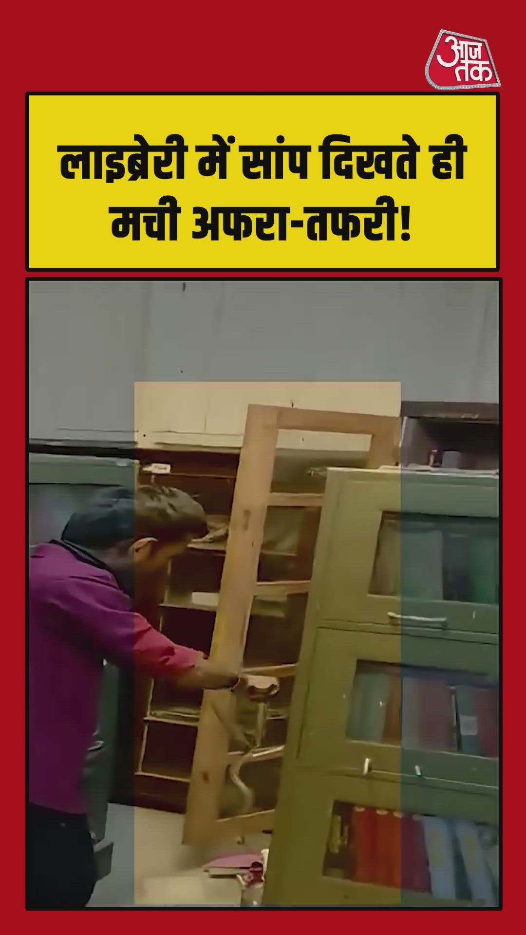 लाइब्रेरी में किताबों के बीच मिला सांप, देखिए वीडियो