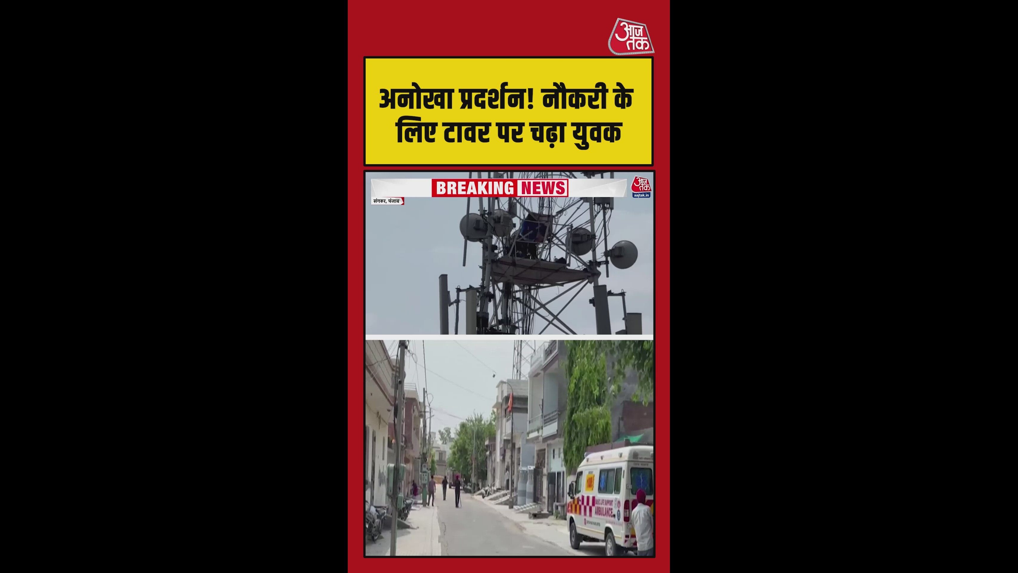 Protester climbs tower during Sangrur Punjab demonstration