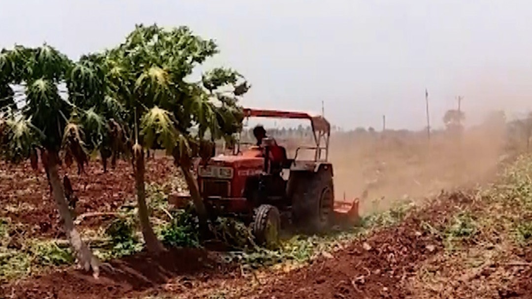 Chhattisgarh Durg Viral Video