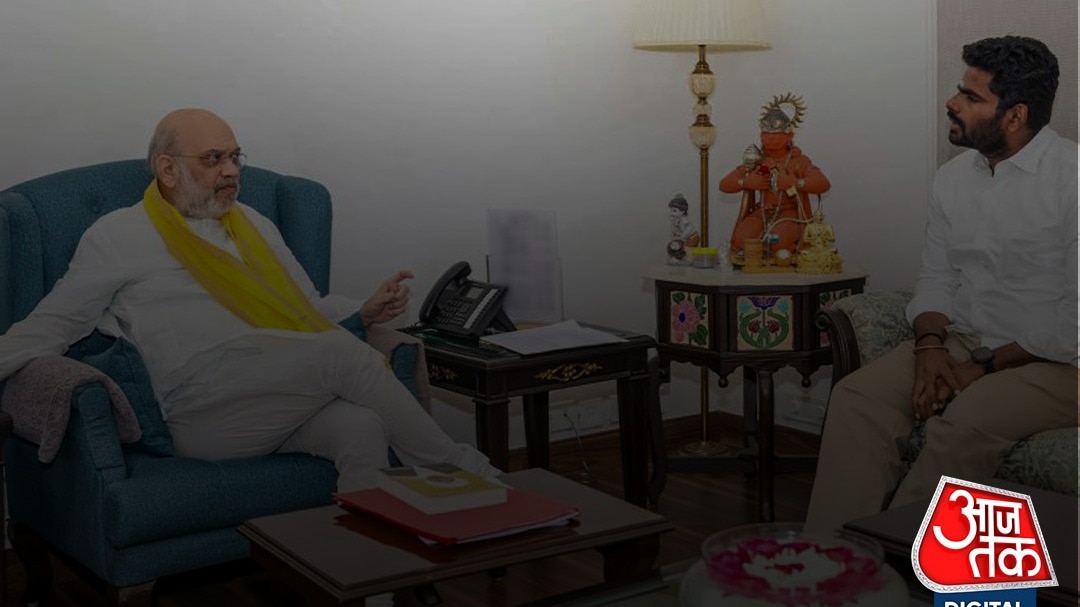 Annamalai meets BJP leadership