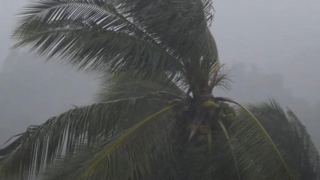 Delhi NCR Western Disturbance
