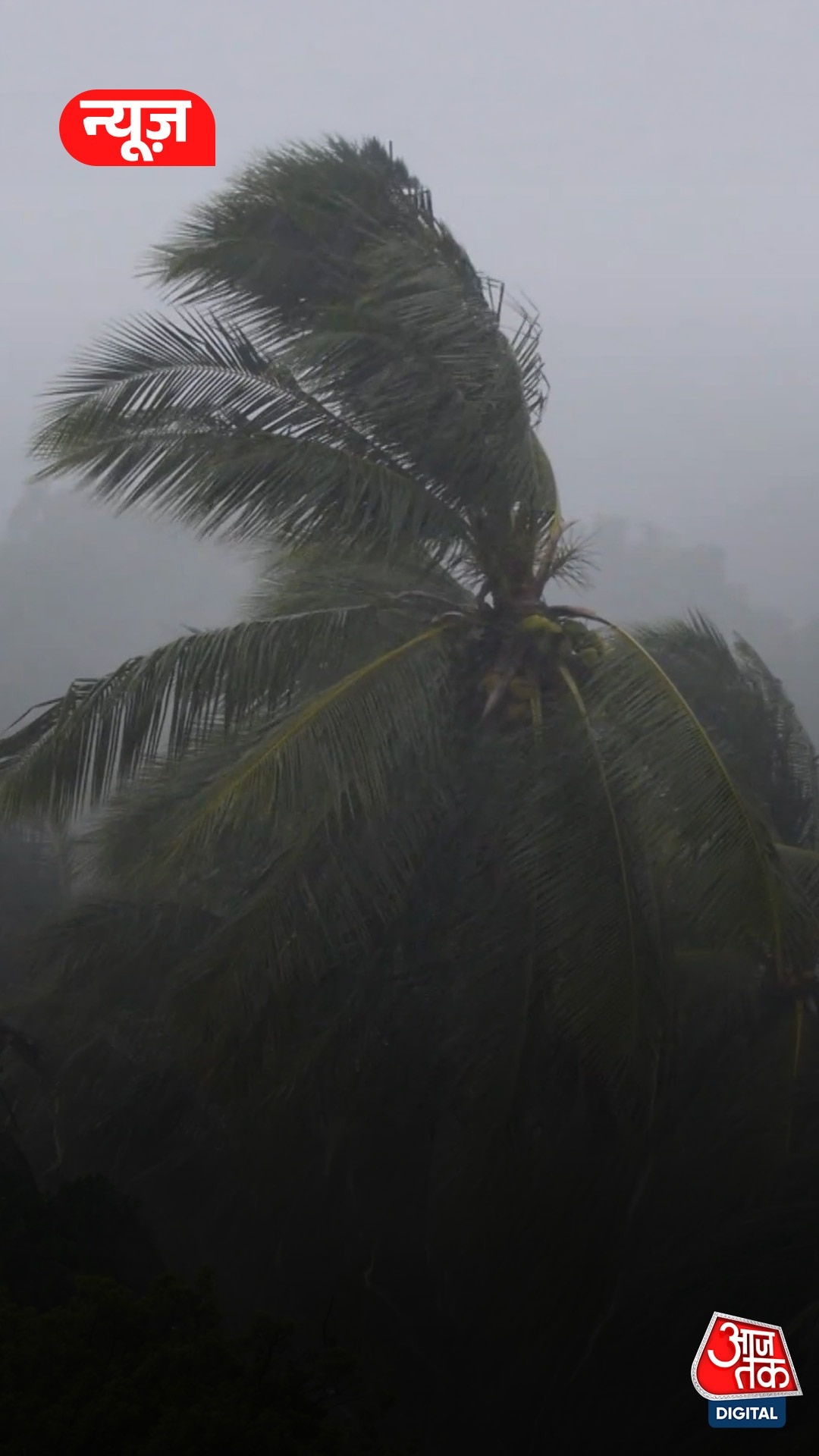 Delhi NCR Western Disturbance