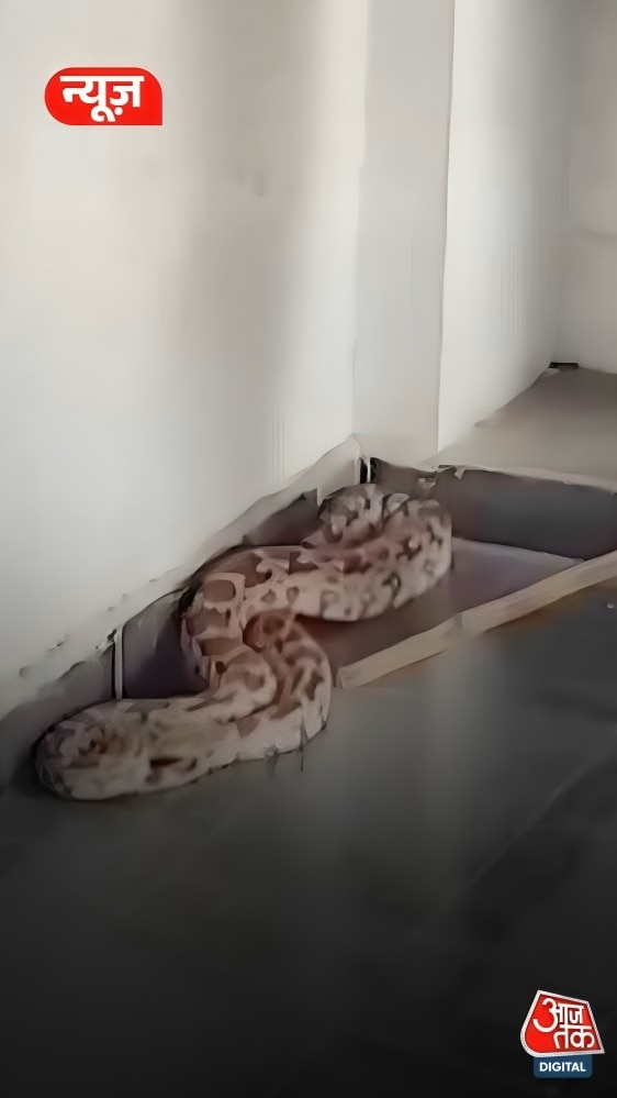 Python in Hostel