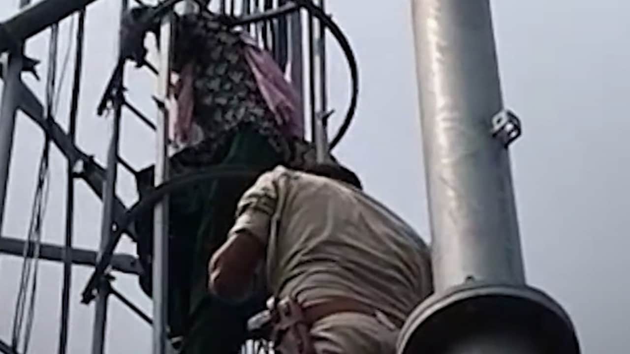 बिहार में हाई-वोल्टेज ड्रामा: मोबाइल टावर पर चढ़ी उत्तर प्रदेश की दुल्हन, पुलिस के फूले हाथ-पांव