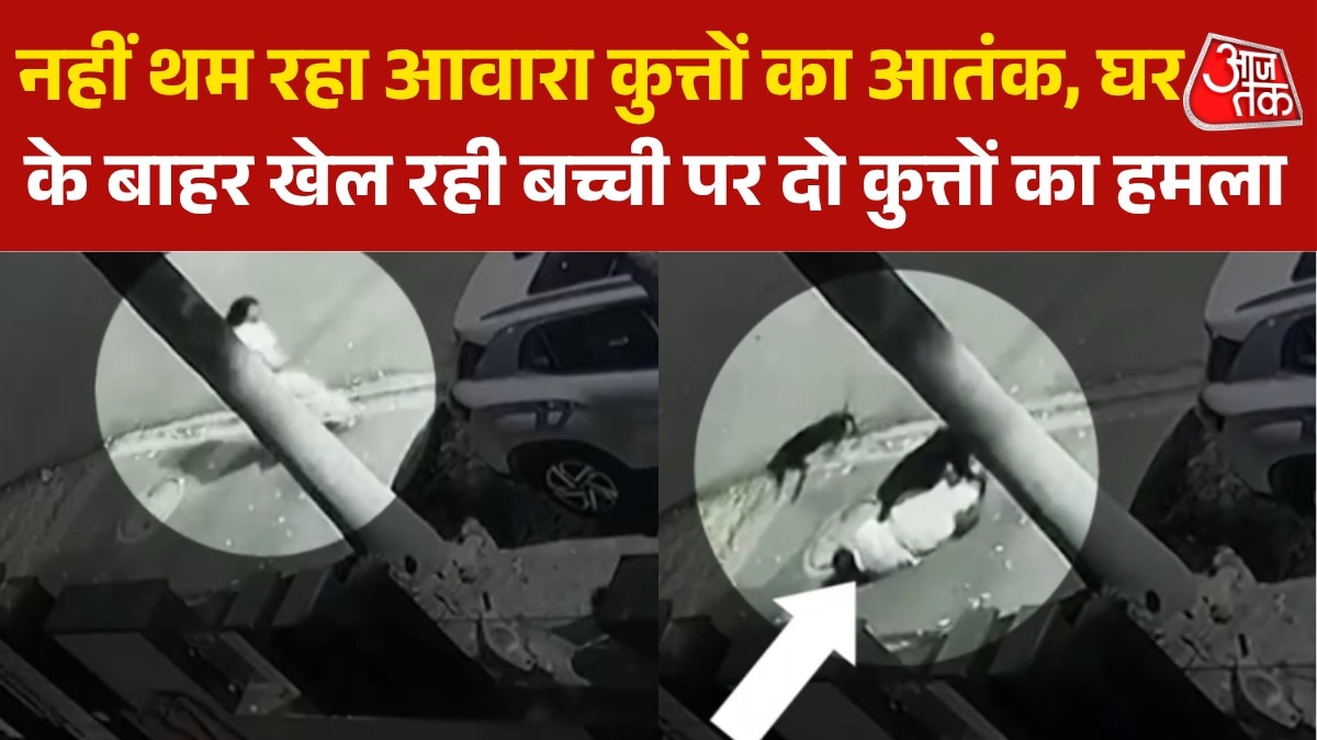 ग्रेटर नोएडा: आवारा कुत्तों ने बच्ची को दबोचा, घटन