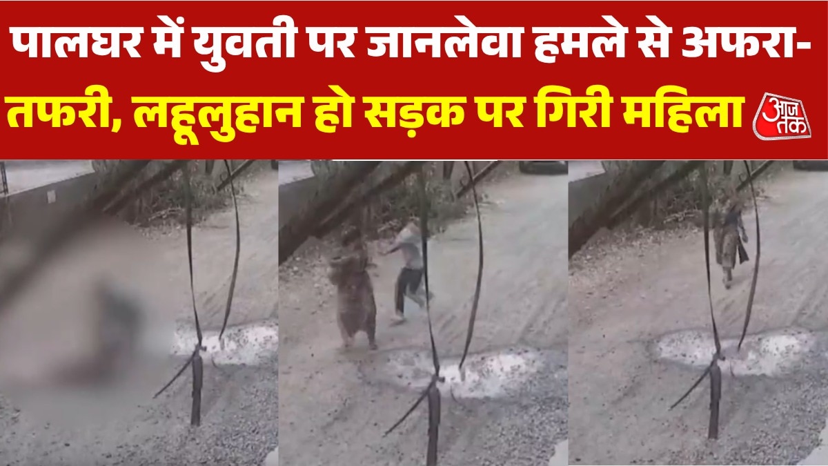 palghar attack on woman cctv video