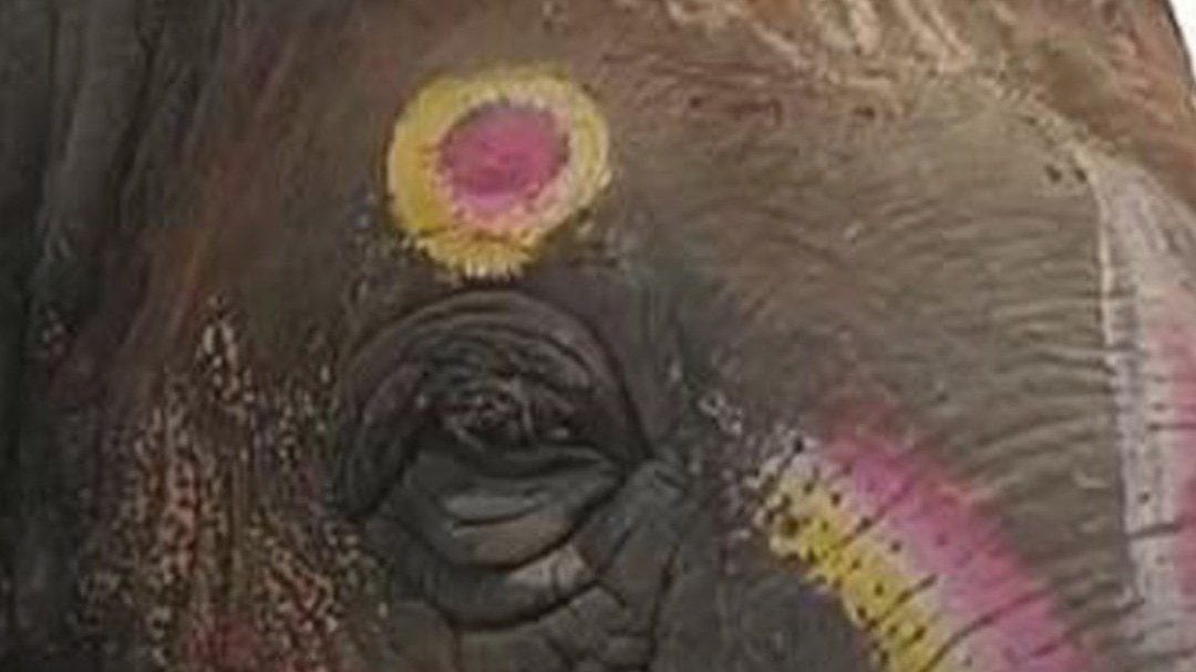 Mahakal procession elephant