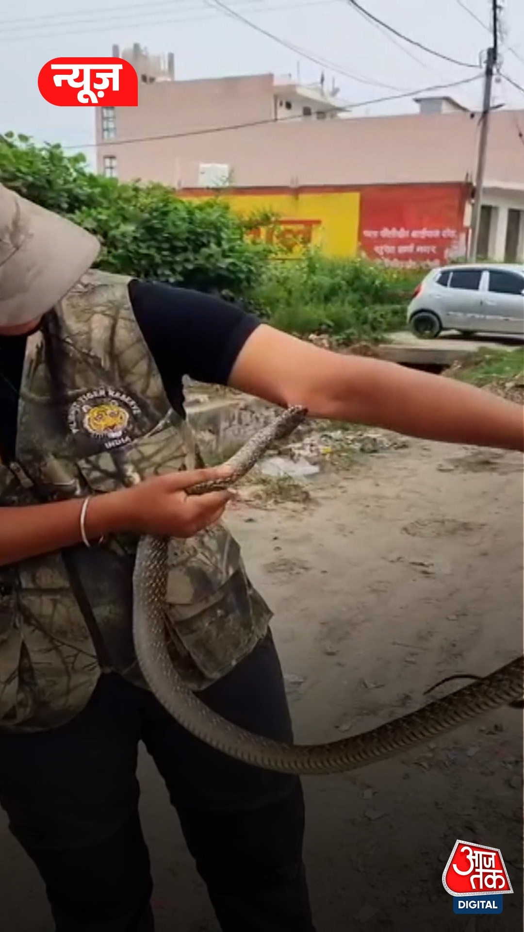 Snake rescuer bitten