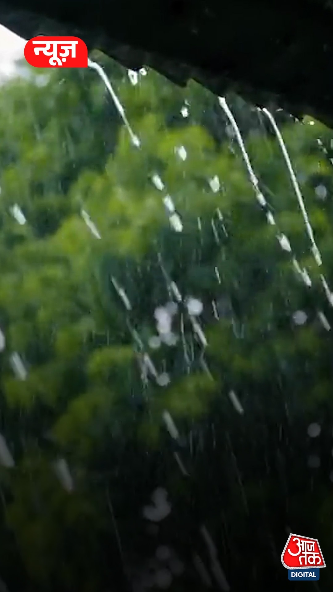Weather Forecastq