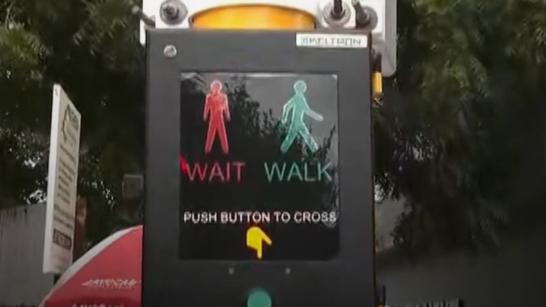 Ahmedabad Pelican Signal