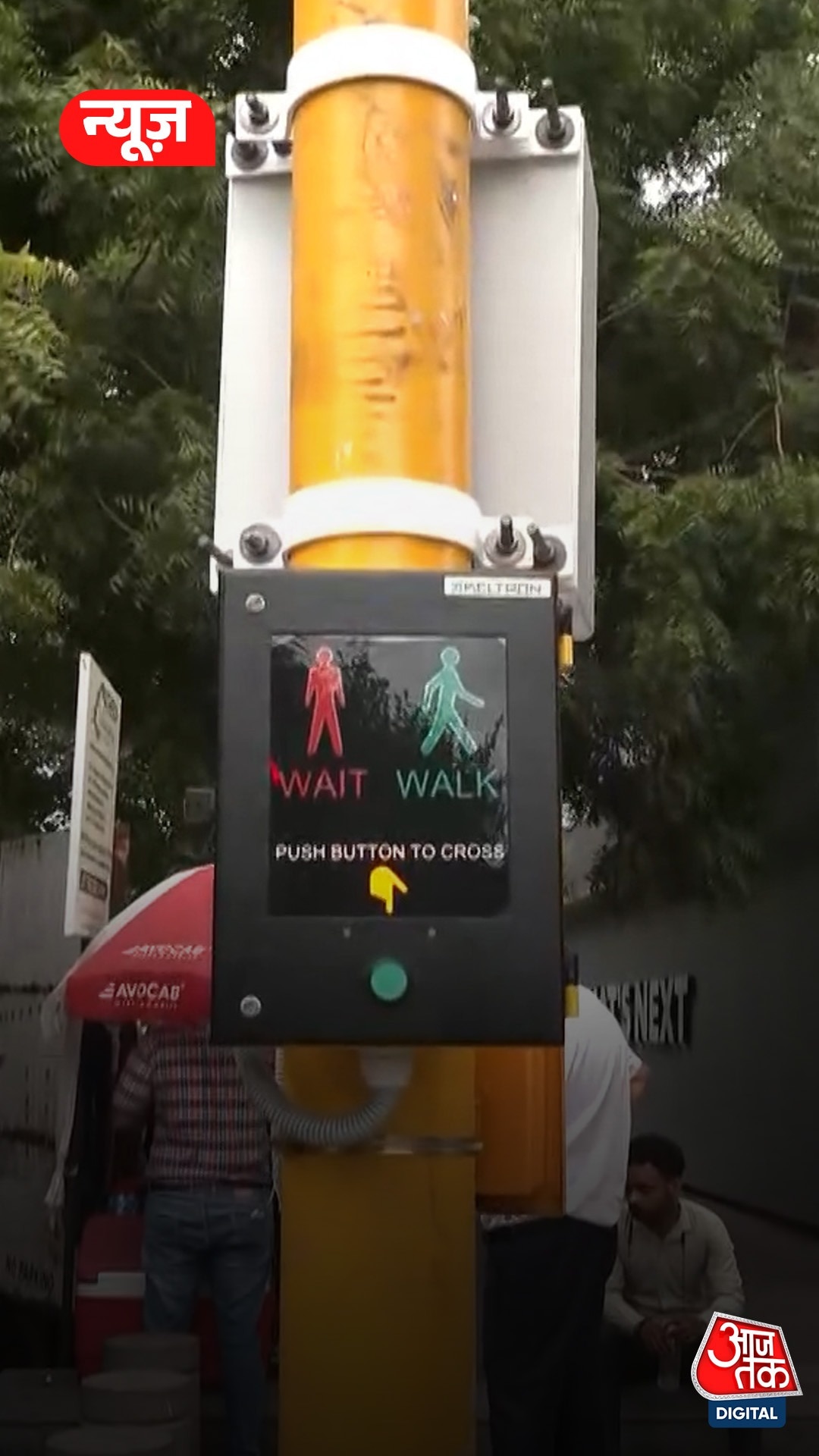 Ahmedabad Pelican Signal